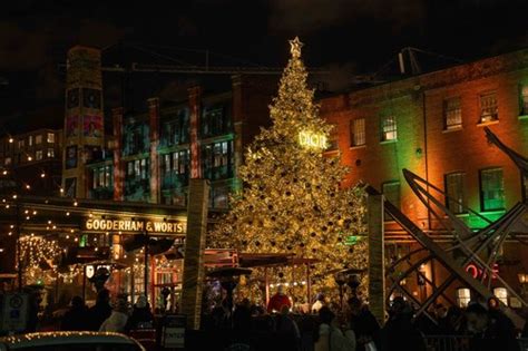 dior tree|distillery district toronto christmas lights.